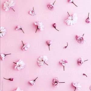 Meet your Posher, Angelina